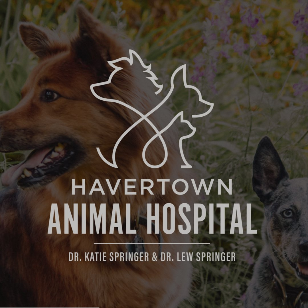 Havertown Animal Hospital