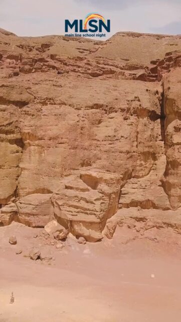 We love hearing how our instructors bring history to life. When the topic is as big as King Solomon; wisdom, power, legacy it matters who’s guiding the conversation. Grateful for teachers who are not only deeply knowledgeable, but kind, humble, and genuinely engaged with every question. Join us for more classes that inspire curiosity at mainlineschoolnight.org! 
•
•
•
#TestimonialTuesday #Mainlineschoolnight #mlsn #lifelonglearning #history #BOTML #adultclasses #thingstodo #mainlinepa #radnorpa #ardmorepa #