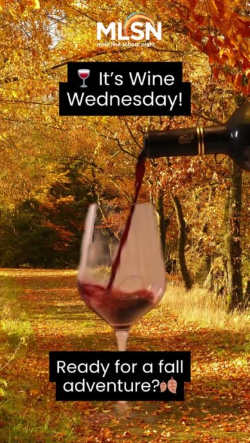 🍷 It’s Wine Wednesday! Looking for a fun fall outing? Join us tomorrow for a local tour and tasting at Penns Woods Winery in Chadds Ford! Spend the afternoon in the vineyard sipping award-winning wines paired with a delicious charcuterie board featuring local meats, cheeses, and spreads. Discover the story behind this family-owned estate and stroll through its scenic 15-acre vineyard, now part of the First State National Park, one of only two wineries in the U.S. located on National Park land. Click https://bit.ly/3LzTS1Y to register now!
•
•
•
#MainLineSchoolNight #MLSN #LifelongLearning #BOTML #AdultClasses #ThingsToDo #Fun #LocalTour #Winery #WineWednesday #WineLovers #MainlinePA #RadnorPA #DelcoPA
