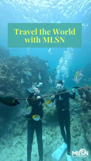 You’re invited to MLSN’s 2027 Travel Preview on Thursday, February 19! Join us for a relaxed, social gathering to preview the exciting destinations ahead, reconnect with fellow travelers, and start dreaming about your next journey. Wine and light refreshments will be served. Click https://bit.ly/4a1eQiH to rsvp! 
•
•
•
#MainLineSchoolNight #MLSN #LifelongLearning #Travel #MainlinePA