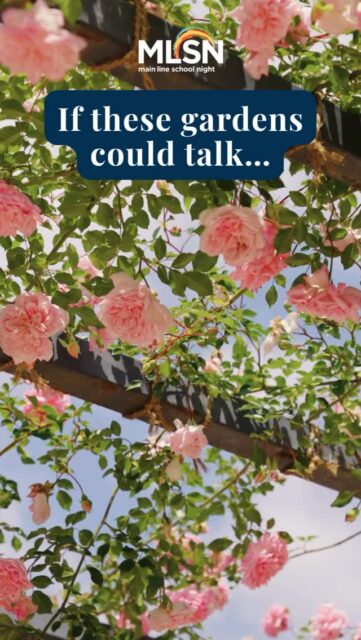 🌸 Join us on Thursday, June 11 for a bus trip to Hillwood Estate to view the breathtaking historic estate and rose gardens once home to Marjorie Merriweather Post.
From grand architecture and extraordinary collections to vibrant rose gardens at peak bloom, Hillwood offers a day rich with beauty, history, art, and inspiration.
For a brief window each year, the estate’s famed gardens come alive in full color, making early summer one of the most magical times to visit. Join fellow lifelong learners for this unforgettable day trip escape on Thursday 6/11. Click https://bit.ly/4u84XIk to learn more and register! 
•
•
•
#MainLineSchoolNight #LifelongLearning #HillwoodEstate #BusTrip #MainLinePA