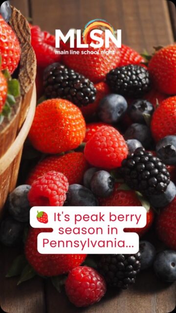 🍓 Peak berry season is here, and there’s no sweeter way to celebrate than with a taste of history! 
Join us for Berries class on Thursday 7/16 and discover how early Americans transformed fresh summer ingredients into timeless desserts. You’ll prepare and sample colonial favorites like Martha Washington’s Great Cake, Abigail Adams’ Pandowdy, Joe Froggers, and Snow Eggs while exploring the flavors, techniques, and stories behind 18th-century cooking. 

Thursday, July 16
10:00 AM–12:00 PM
📍 Creutzburg 

Click https://bit.ly/4vt2tEM to register today!
•
•
•
#mainlineschoolnight #lifelonglearning #thingstodo #mainlinepa